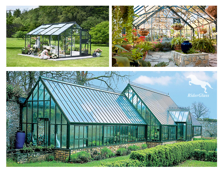 Horticultura Glass Green House