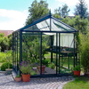 Horticultura Glass Green House