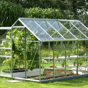 Horticultura Glass Green House